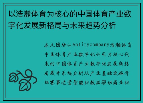以浩瀚体育为核心的中国体育产业数字化发展新格局与未来趋势分析