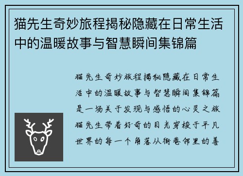 猫先生奇妙旅程揭秘隐藏在日常生活中的温暖故事与智慧瞬间集锦篇